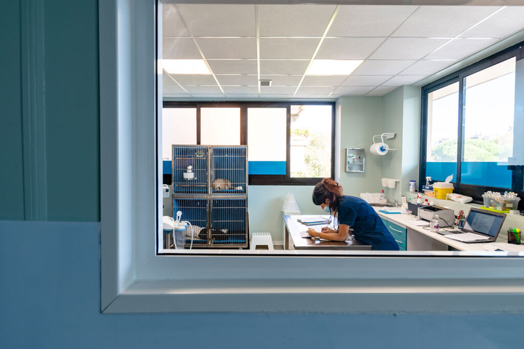 staff a lavoro - ospedale veterinario lido di roma